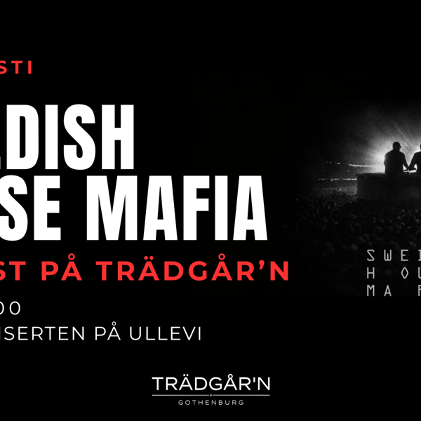 FÖRFEST SWEDISH HOUSE MAFIA - 29/8